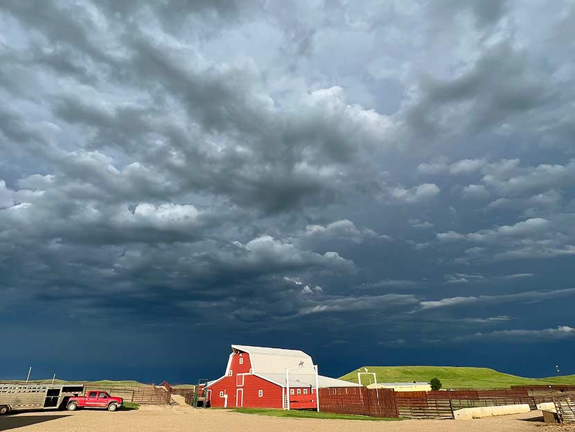 Schaff Family Farm